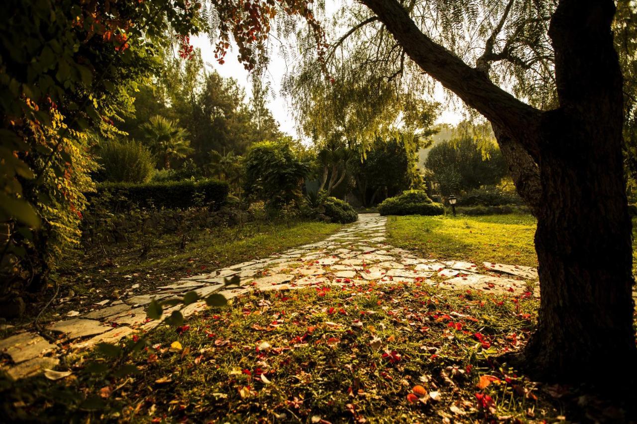 Hotel Berke Ranch&Nature Kemer Exteriör bild