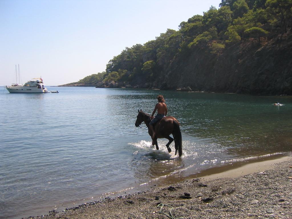 Hotel Berke Ranch&Nature Kemer Exteriör bild